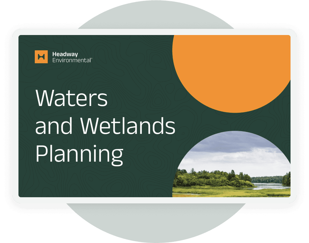 Waters and Wetlands Planning