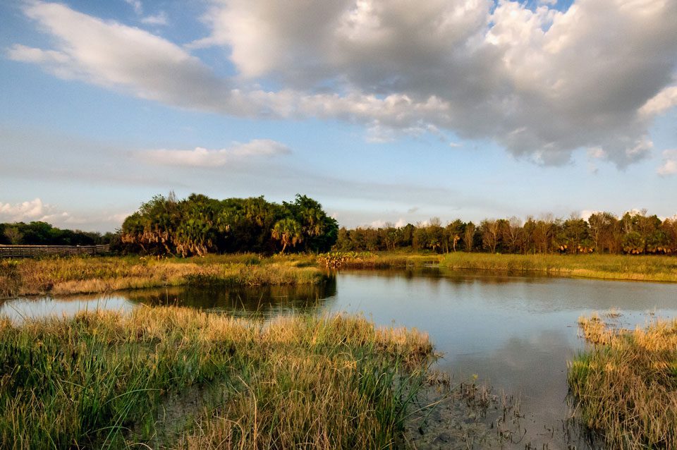Florida wetlands clean water act