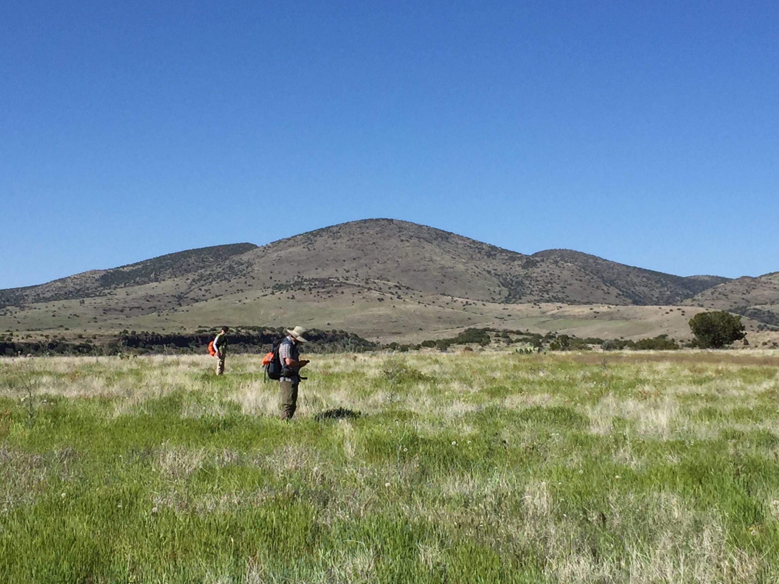 Field workers survey a wetland.
