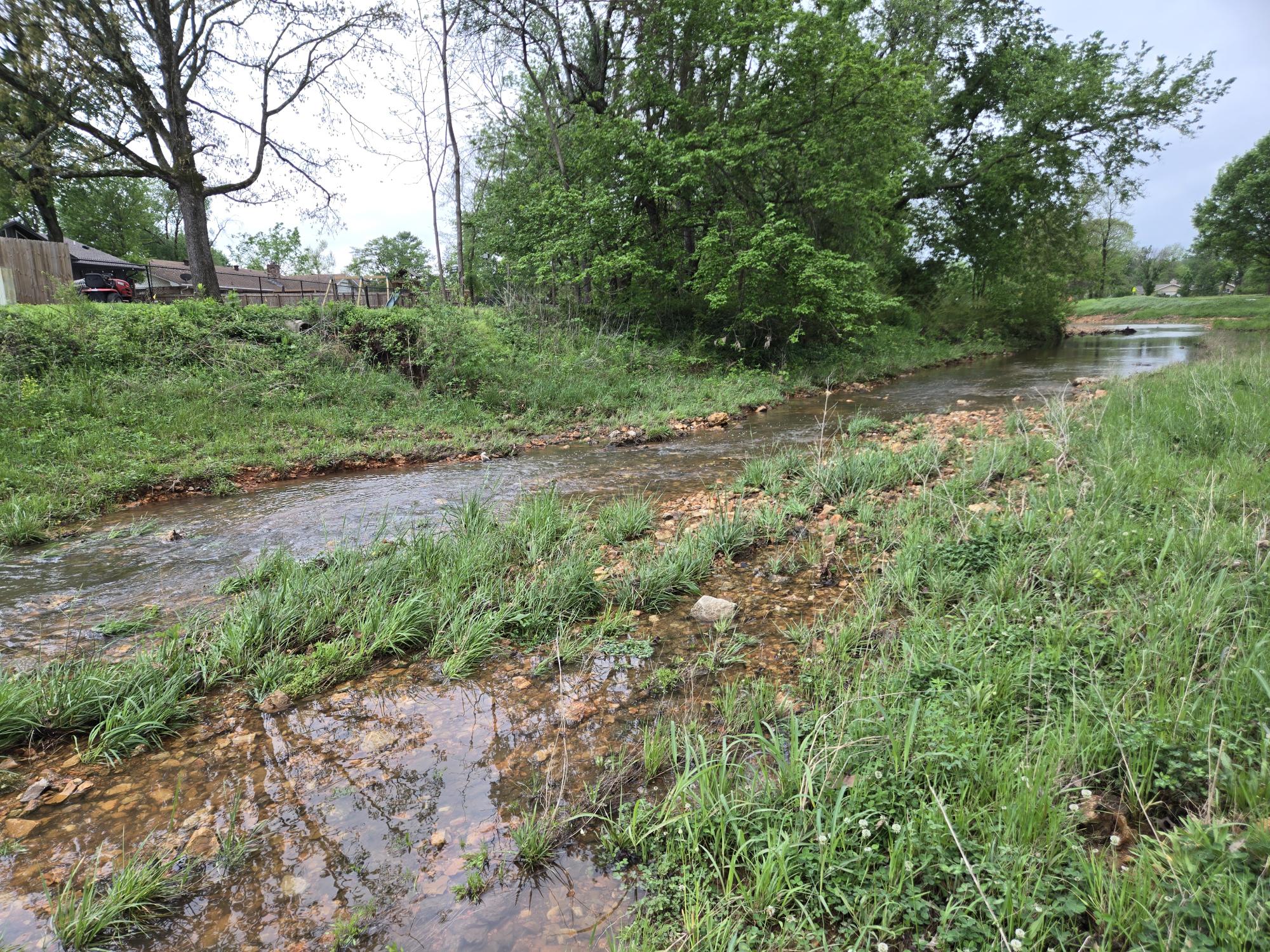 Stream in Rogers, Arkansas